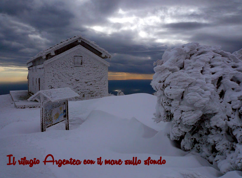 argentea rifugio new