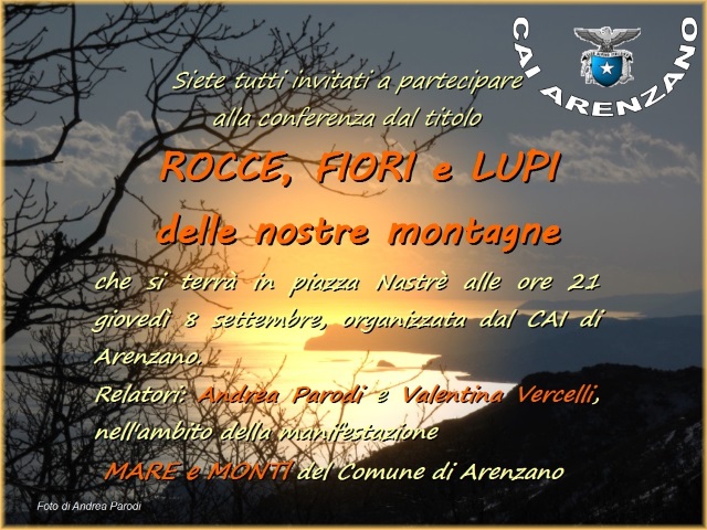 rocce_fiori_lupi_2016.jpg