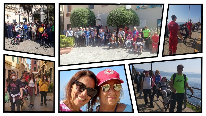 collage mont terapia